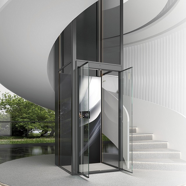 Ostar Platform Elevator/Home Elevator/Villa Elevator/Home Lift