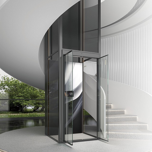 Ostar Platform Elevator/Home Elevator/Villa Elevator/Home Lift